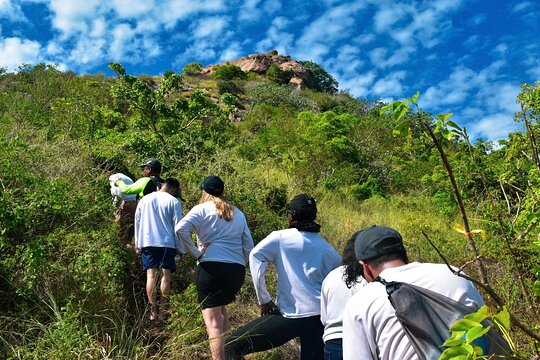 Tour image 12