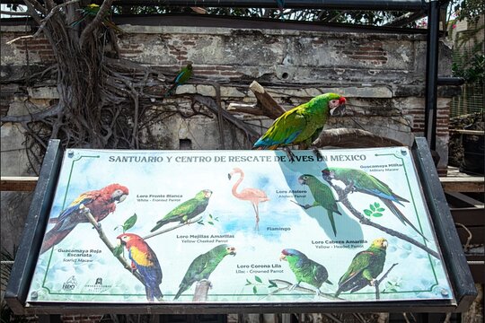 Tour image 3