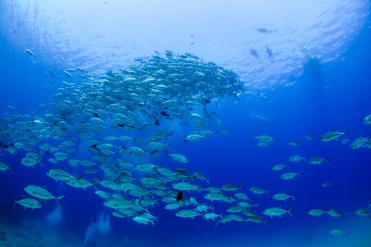 Tour image 11