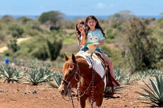 Tour image 11